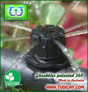 Béc tưới cây sân vườn Shrubbler0