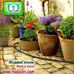 Thumbnail of Béc tưới cây nhỏ giọt mũi tên0