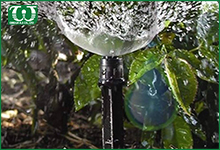 Dùng béc tưới cây sân vườn Spectrum cho ban công