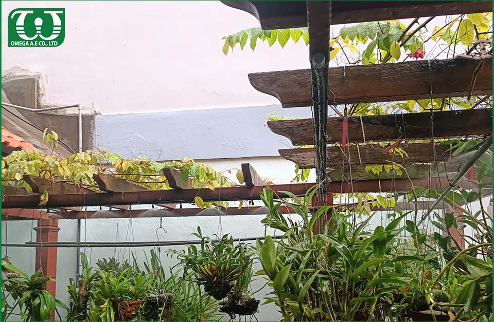Dùng béc tưới cây Spectrum cho sân vườn