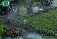 Dùng béc tưới cỏ phun mưa Rotor 5500 cho sân vườn