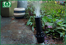 Dùng béc tưới phun mưa Pop up Spray 54505 để tưới cỏ