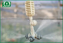 Dùng béc tưới phun sương Coolnet cho nhà chung cư