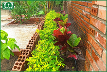 Hệ thống tưới tự động cho khu vườn nhiều tầng