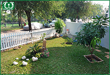 Hệ thống tưới tự động cho vườn cây Homestay