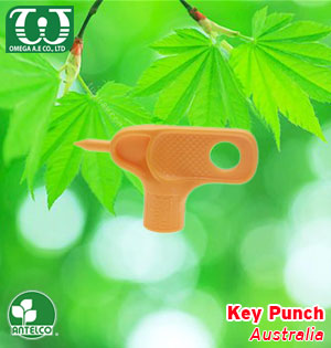 Key Punch