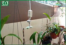 Béc tưới phun sương có những đặc điểm gì nổi bật