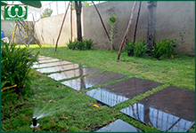 Phương pháp tưới cây hợp lí cho khu vườn nhà bạn