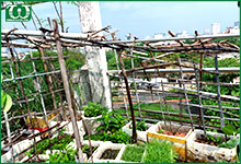 Lắp đặt hệ thống tưới tự động Quận Bình Thạnh