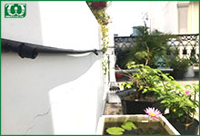 Lắp đặt hệ thống tưới tự động ban công nhà ở Nguyễn Thượng Hiền