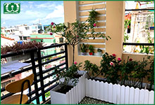 Lắp đặt hệ thống tưới tự động Quận Bình Tân
