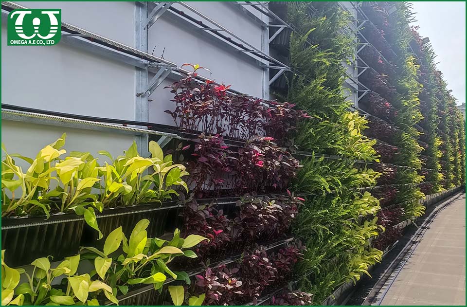 Lắp đặt hệ thống tưới tự động cho tường cây