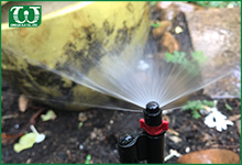 Lợi ích của béc tưới cây sân vườn hình Fan