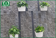 Lợi ích của hệ thống tưới tự động nhỏ giọt cho tường cây