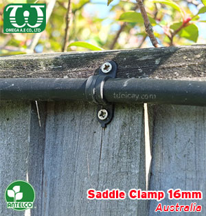 Cố định ống 16mm
