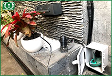 Những sân vườn nên sử dụng bộ hẹn giờ tưới tự động dùng pin