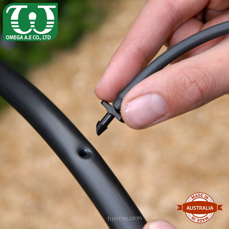 Chốt nối 4mm2