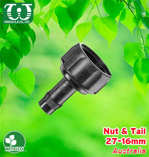 Nut & Tail 16*27
