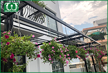 Phương pháp tưới tự động hiệu quả cho các khu vườn dạng treo