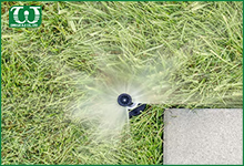 Sử dụng béc tưới phun mưa Pop up Spray 54505 cho sân Golf