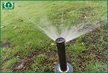 Sử dụng béc tưới pop up cho tưới cỏ