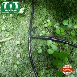 Thumbnail of Tê 4mm3