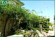 Vì sao khách hàng nên chọn Thiết Bị Tưới Cây Tự Động OMEGA www.tuoicay.com