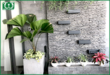 Thiết kế một hệ thống tưới tự động hoàn chỉnh