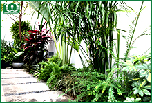 Thời điểm nên thiết kế hệ thống tưới cây tự động