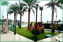 Thời điểm nào phù hợp để lắp đặt hệ thống tưới tự động