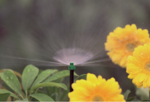 Tưới cây tự động Nhà Đẹp