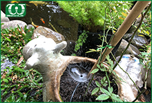 Tưới tự động hiệu quả thế nào với khu vườn bonsai