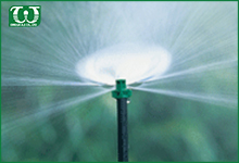 Ứng dụng của béc tưới cây 360 Single Piece Jets