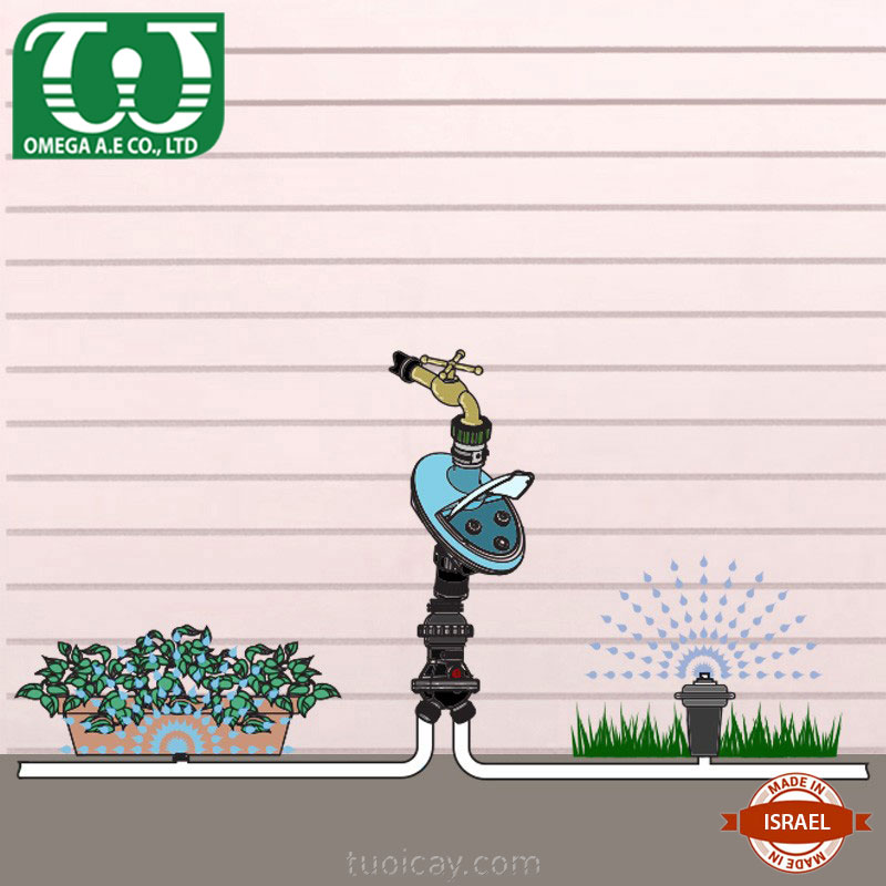 Van tự động chuyển đổi6