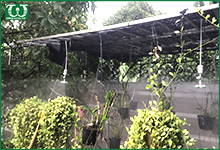 Vì sao nên lắp đặt hệ thống tưới tự động phun sương cho vườn lan