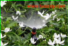Vườn cây tự tưới